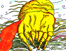 ima16102.gif (28320 octets)