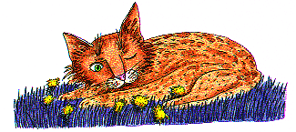 ima16111.gif (25995 octets)