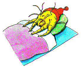 ima16113.gif (26855 octets)